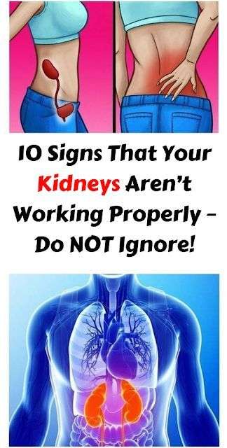 10 Signs That Your Kidneys Arenât Working Properly â Do NOT Ignore! # ...