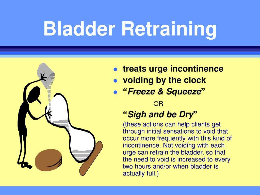 44+ Bladder Training After Prostatectomy Images