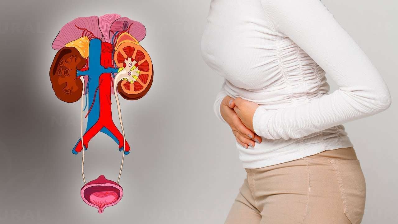 5 easy ways to prevent a urinary tract infection