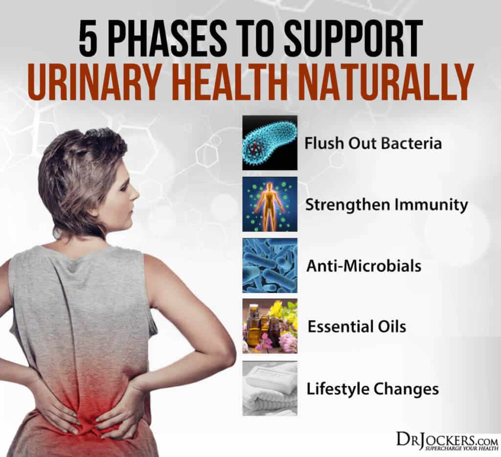 5 Phases to Support Urinary Health Naturally