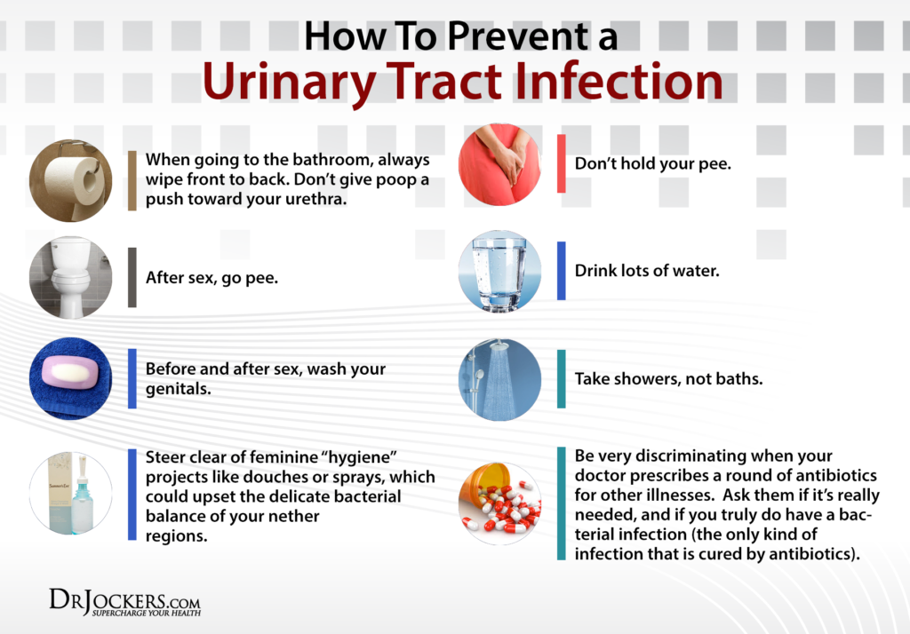 5 Phases to Support Urinary Health Naturally