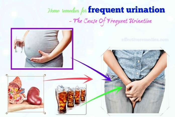 6 Best Natural Home Remedies For Frequent Urination In Women