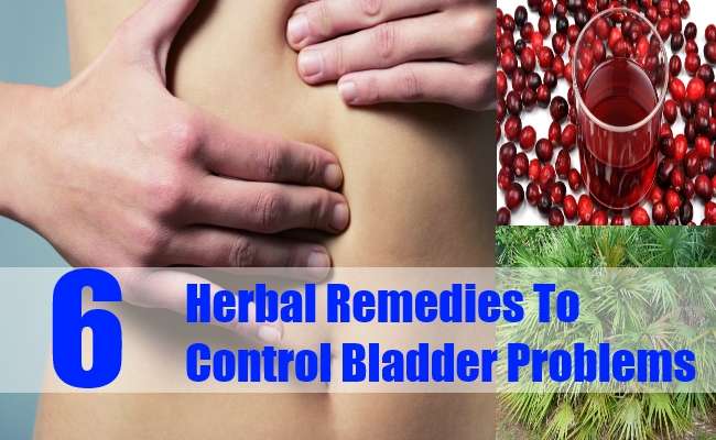 6 Herbal Remedies to Control Bladder Problems, Effective ...