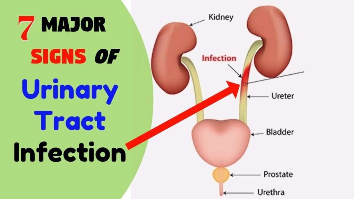 7 Major Symptoms of urinary tract infection.