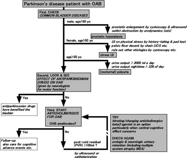 A flow chart for bladder management of Parkinson