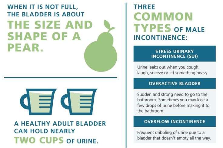 A free infographic with facts and figures on loss of bladder control ...