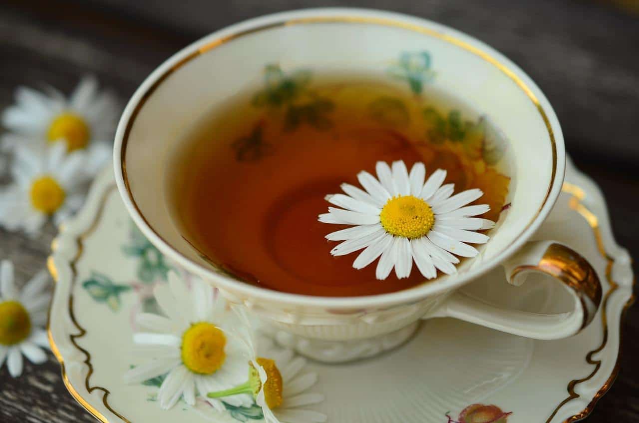 A Good To Know Question: Are Teas Good For UTI?