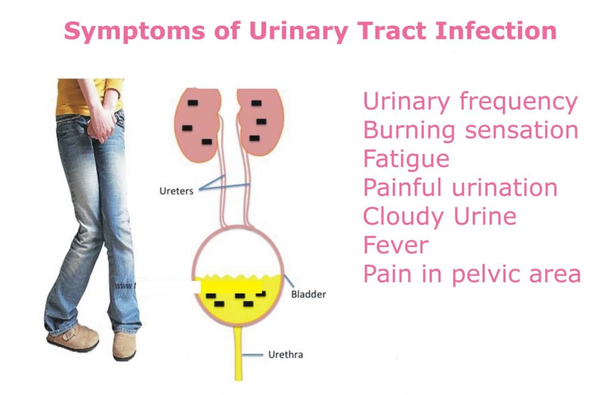 All You Need to Know About Urinary Tract Infection