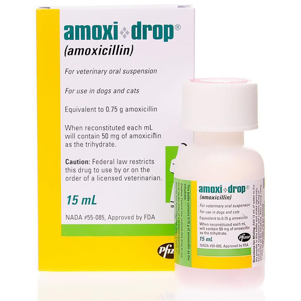 Amoxi Drop (Amoxicillin) 15ml