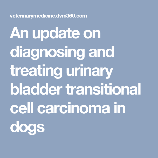 An update on diagnosing and treating urinary bladder transitional cell ...