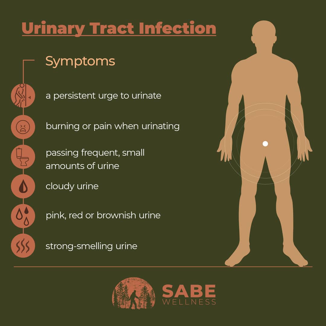 Avoid and Treat Bladder and Urinary Tract Infections