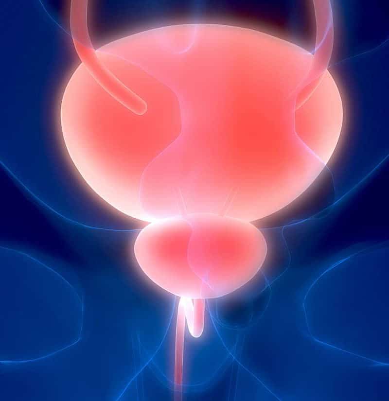 Bladder spasms: Causes, symptoms, and treatment