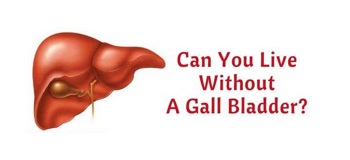 Can You Live Without A Gall Bladder?