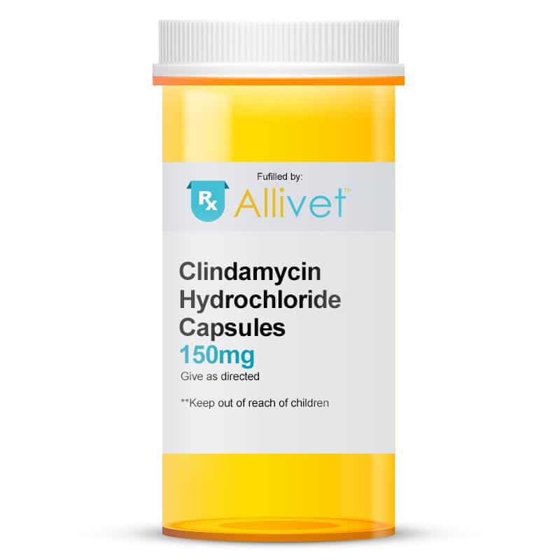 Clindamycin Hydrochloride Capsules for Cats and Dogs