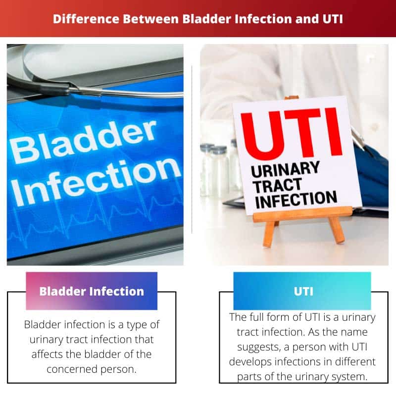 Difference Between Bladder Infection and UTI