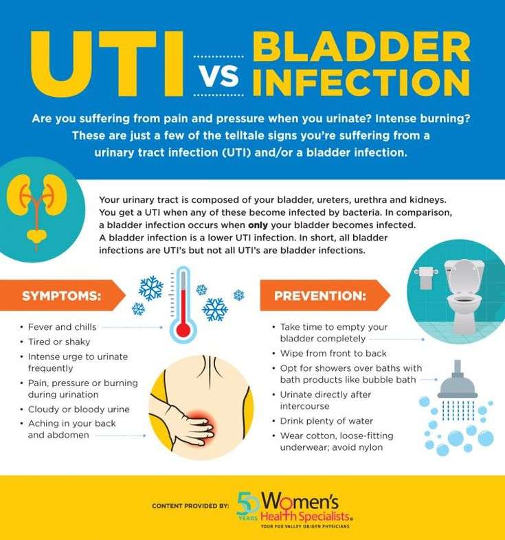Difference Uti And Bladder Infection