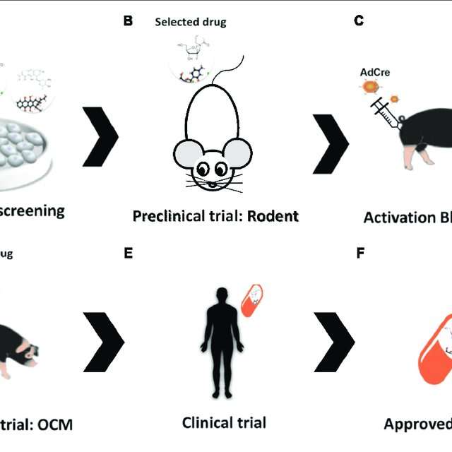 drug discovery in the oncopig bladder cancer model a