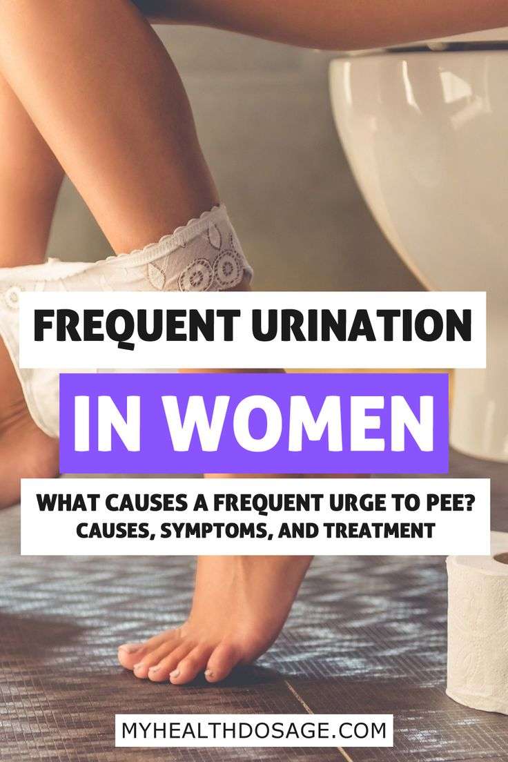 Frequent urination in women: 12 Causes how to get help in 2020 ...