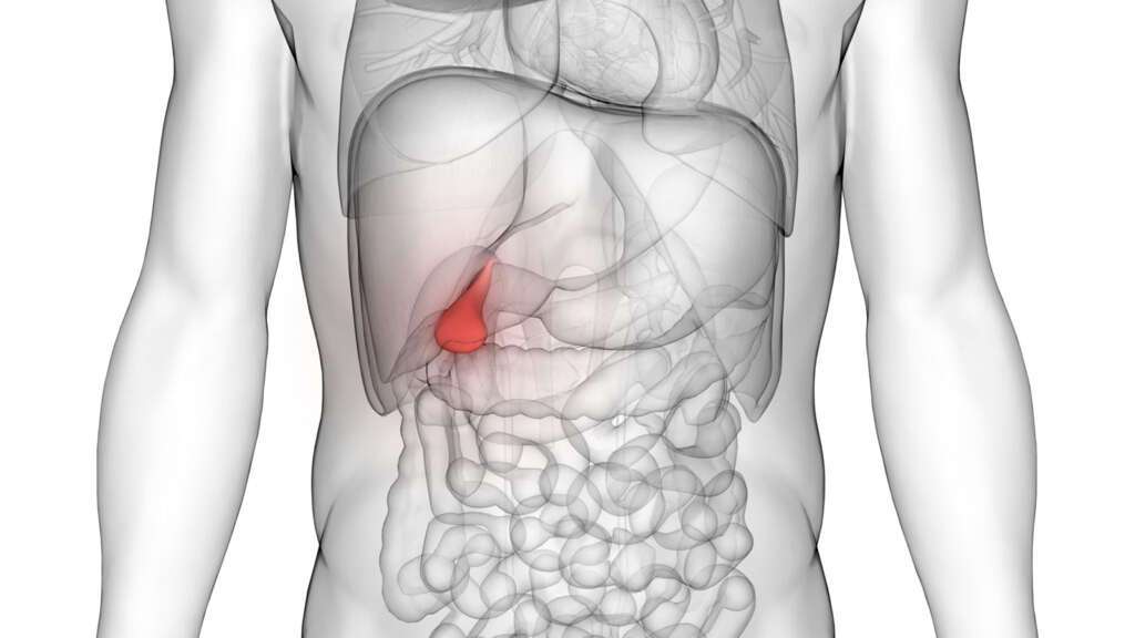 Gallbladder Attack: What Does a Gallbladder Attack Feel Like?