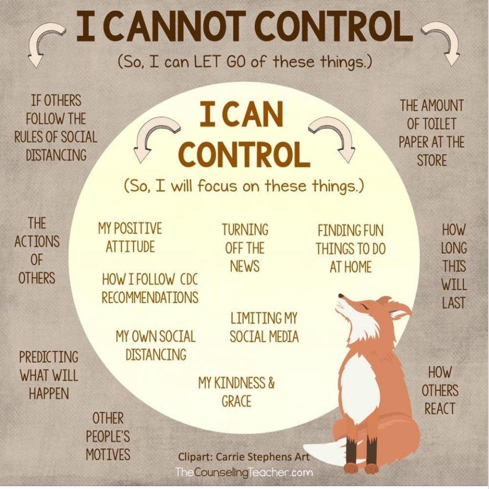 Guide to what you can and cannot control during these times. : coolguides