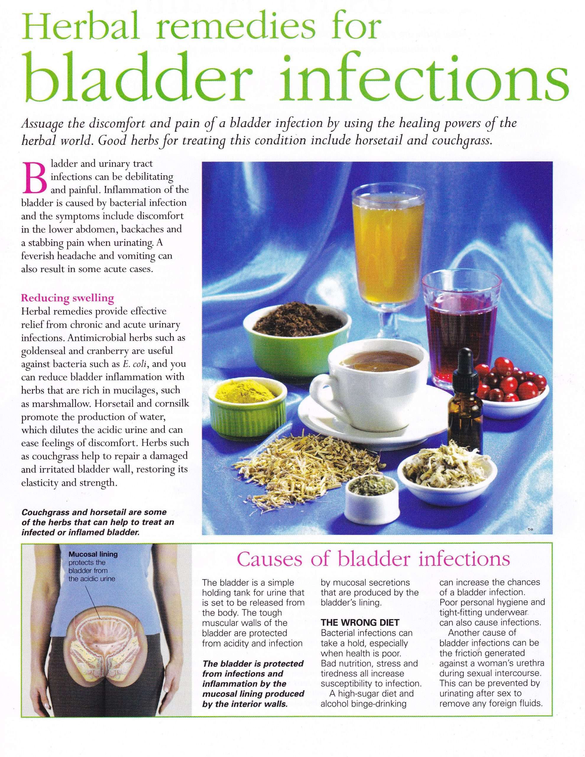Herbal remedies for bladder infections