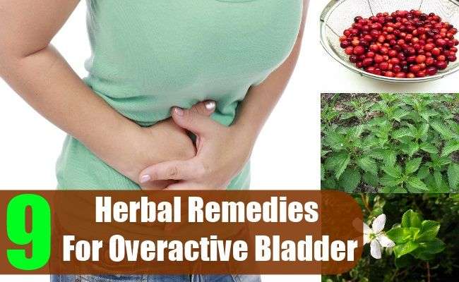 Herbal Remedies for Overactive Bladder