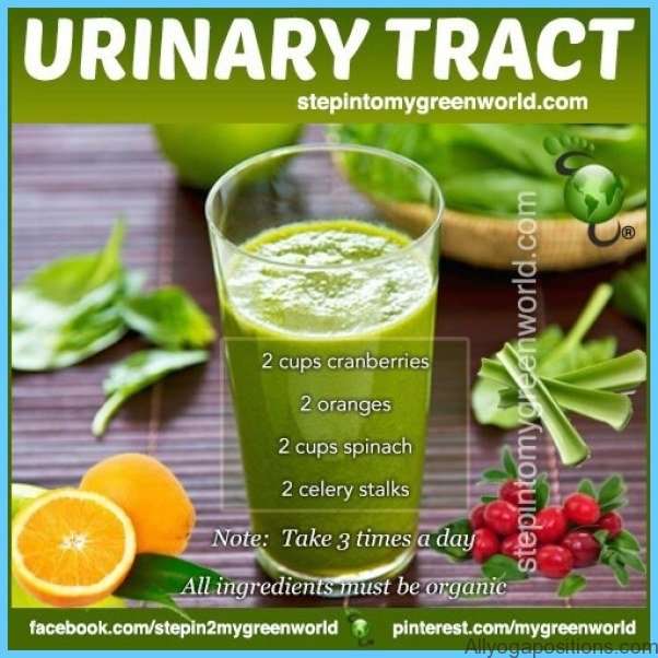 HERBAL REMEDIES for Urinary Tract Infections ...