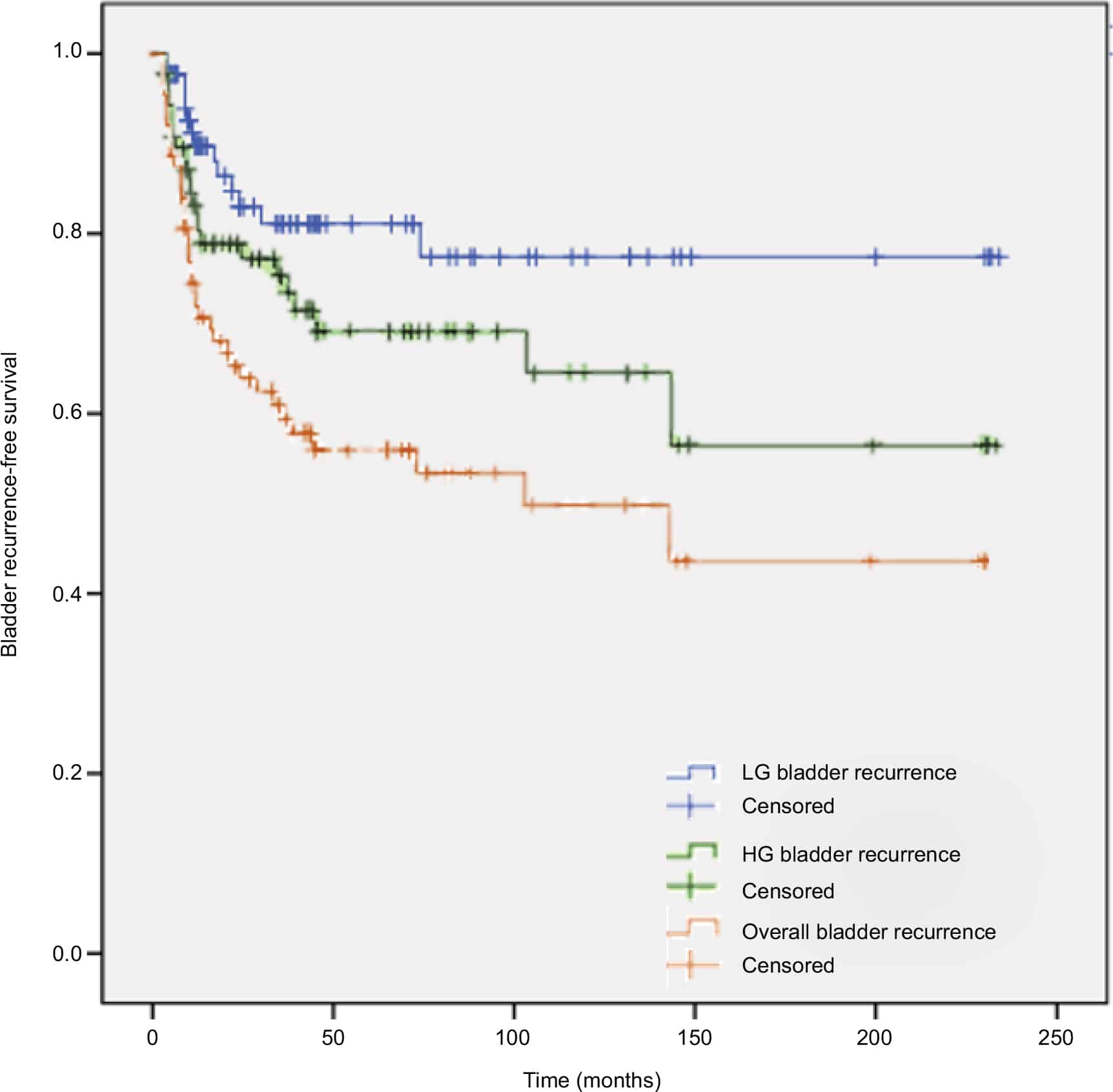 High frequency of bladder cancer after nephroureterectomy: justificati ...