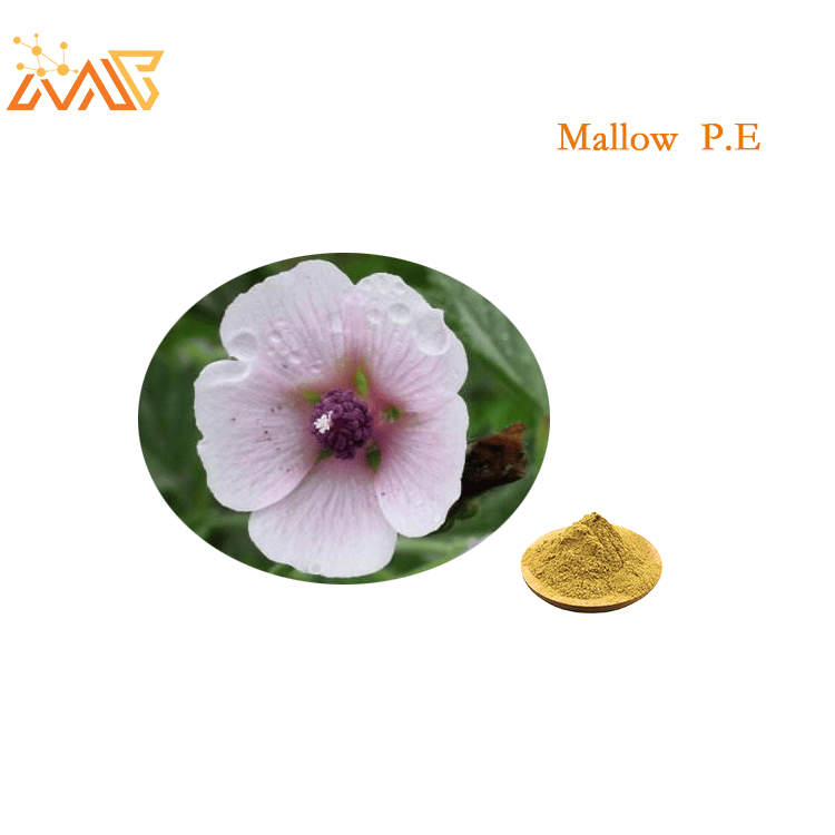 High Quality Althaea Officinalis/marshmallow Root Extract Powder ...