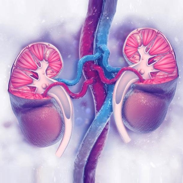 How Can I Tell If I Have A Kidney Infection