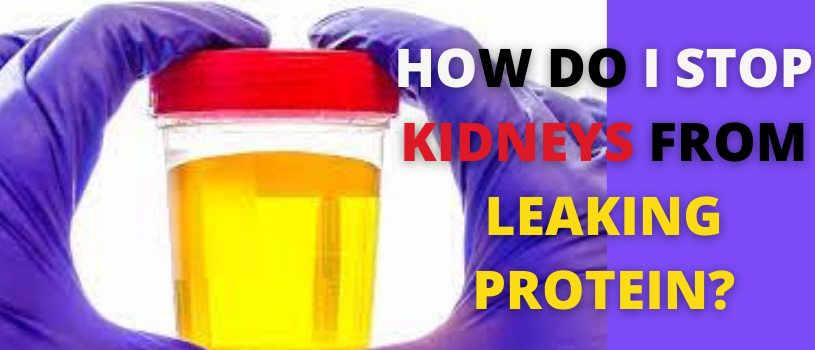 How do I stop my kidneys from leaking protein?