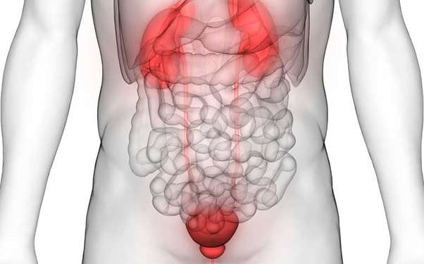 How is bladder cancer diagnosed?