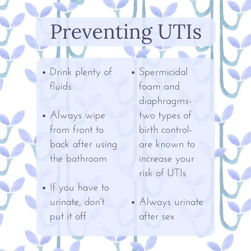 How to Prevent a UTI: Our Tips for Urinary Health