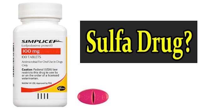 Is Simplicef A Sulfa Drug? Cefpodoxime Proxetil Medication