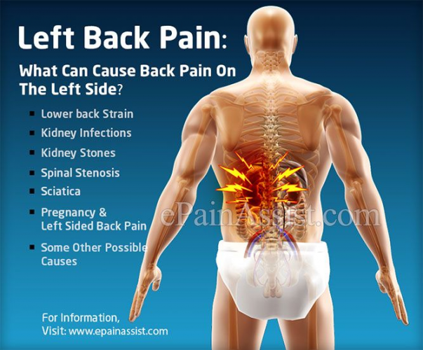 Kidney Infection Symptoms Where Is The Back Pain