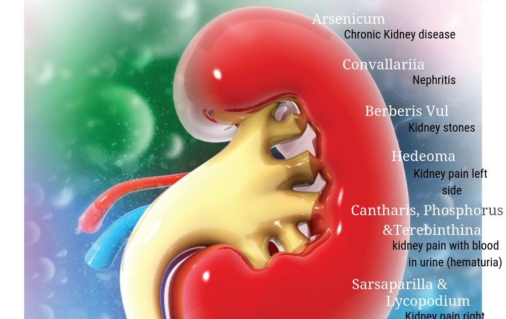 Kidney Inflammation Blood In Urine