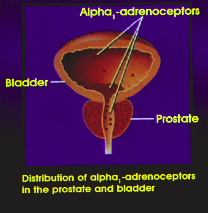 Loss Of Bladder Control In Males
