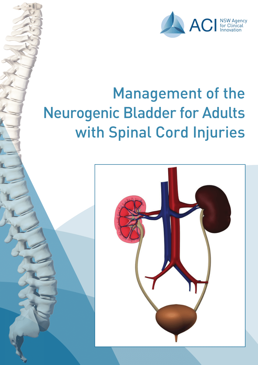 (PDF) Management of the Neurogenic Bladder for Adults with Spinal Cord ...