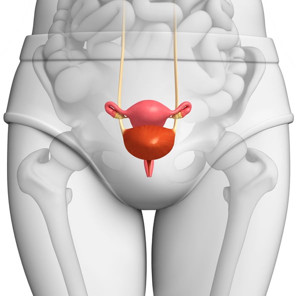 Prolapsed bladder (cystocele) causes, symptoms, surgery, and treatments