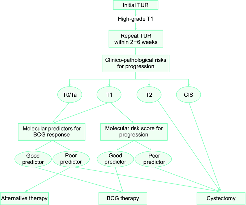 Proposed algorithm for decisionmaking in high