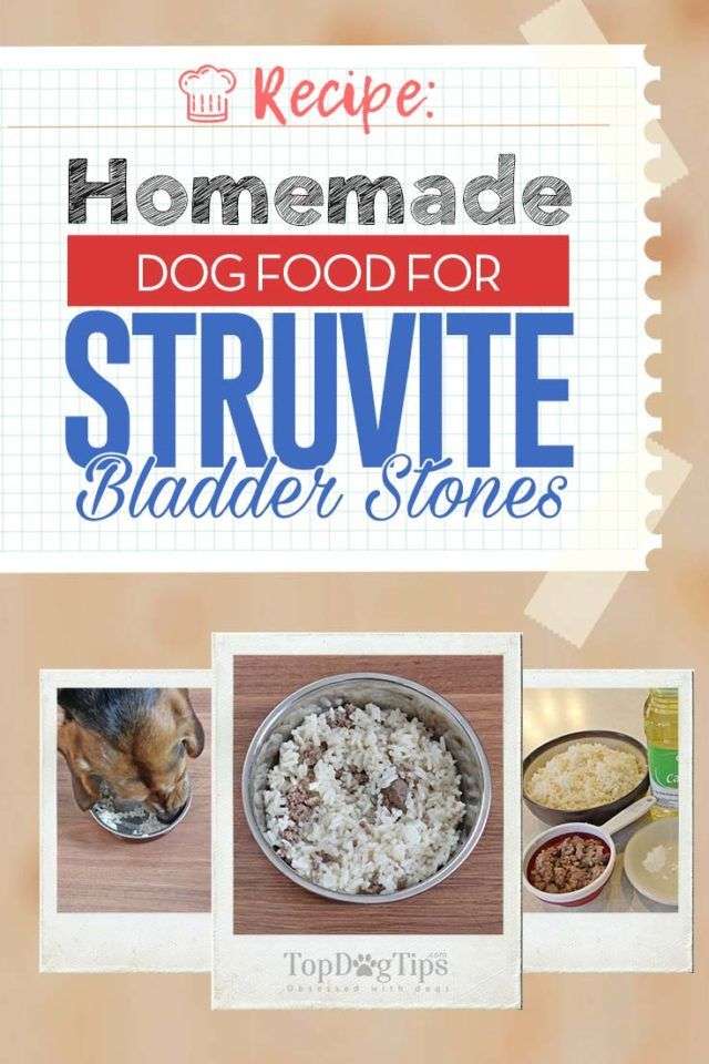 Recipe: Homemade Dog Food for Struvite Bladder Stones