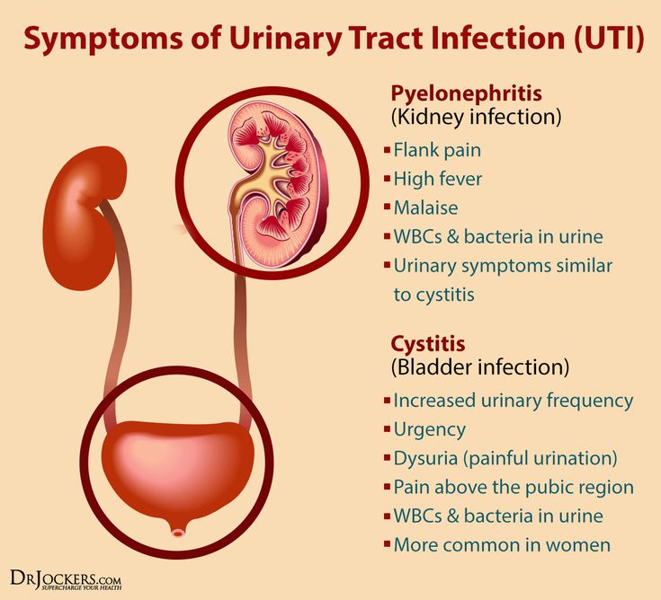 recognize the signs of a urinary tract infection and distinguish ...