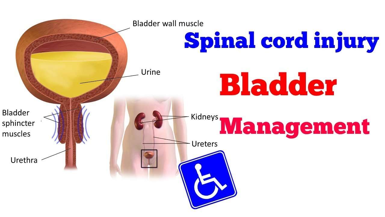 Spinal cord injury bladder Management