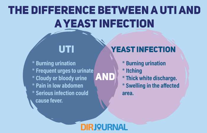 The Difference Between a UTI and a Yeast Infection ...