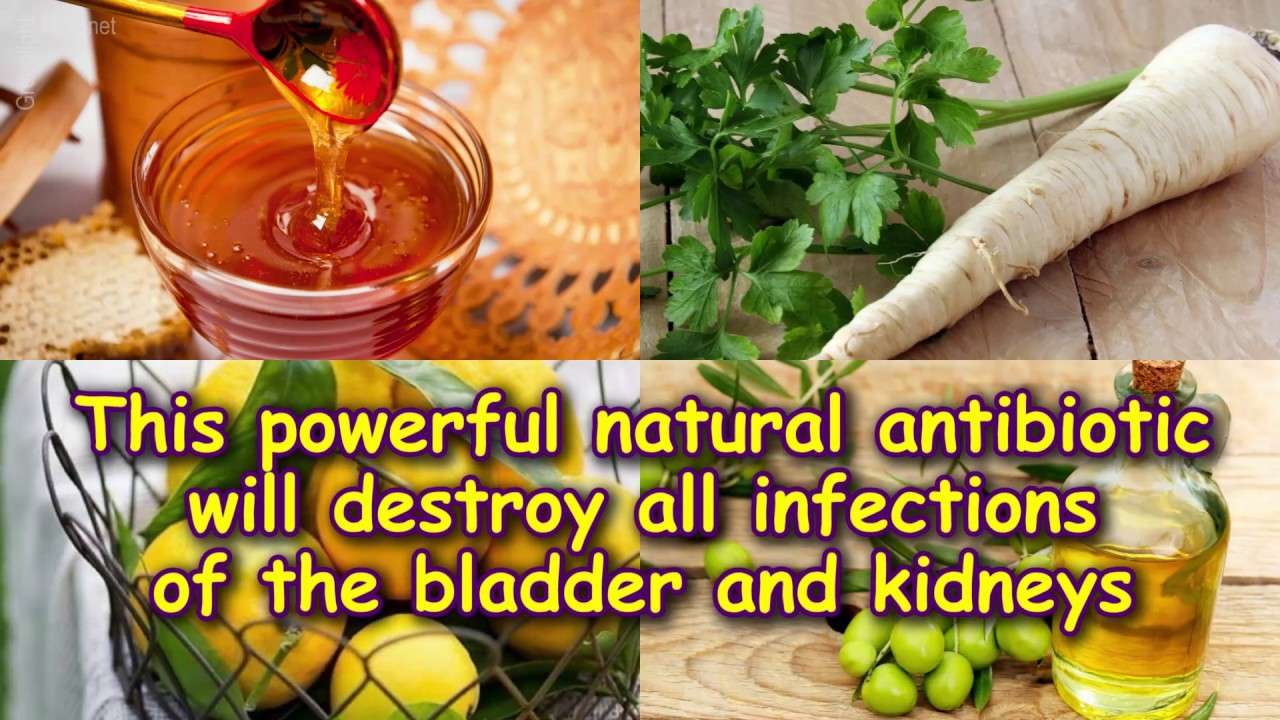 This powerful natural antibiotic will destroy all ...