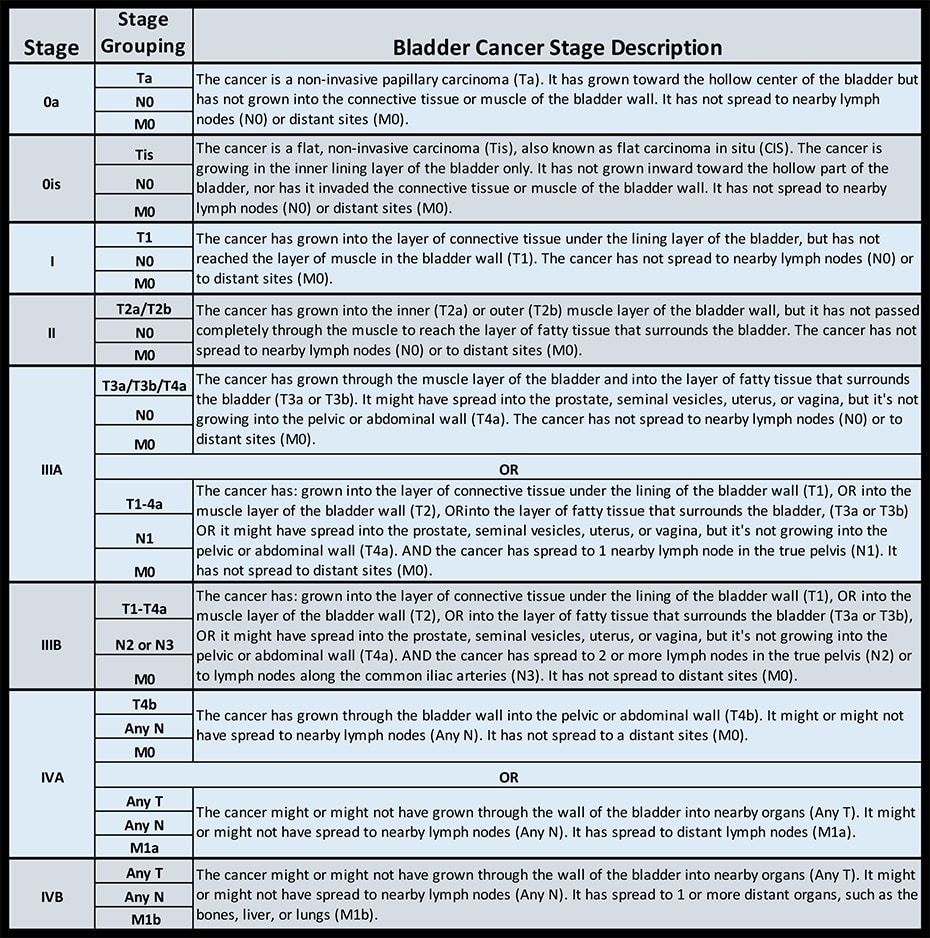 Understanding the Stages of Bladder Cancer