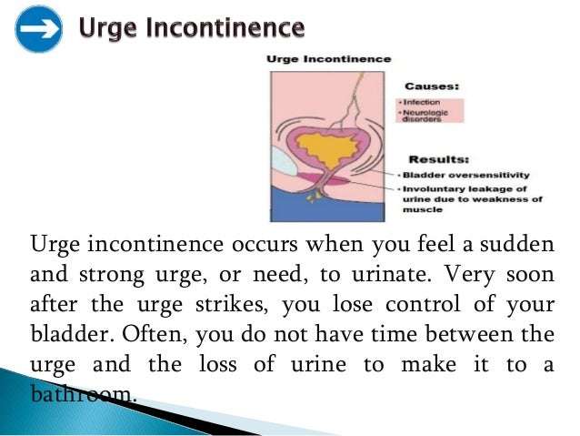 Urinary Incontinence: Types, Causes &  Prevention By Unique ...