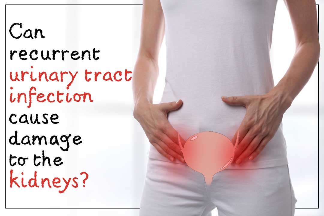 Urinary Tract Infection UTI Damage Kidneys, Ayurvedic ...