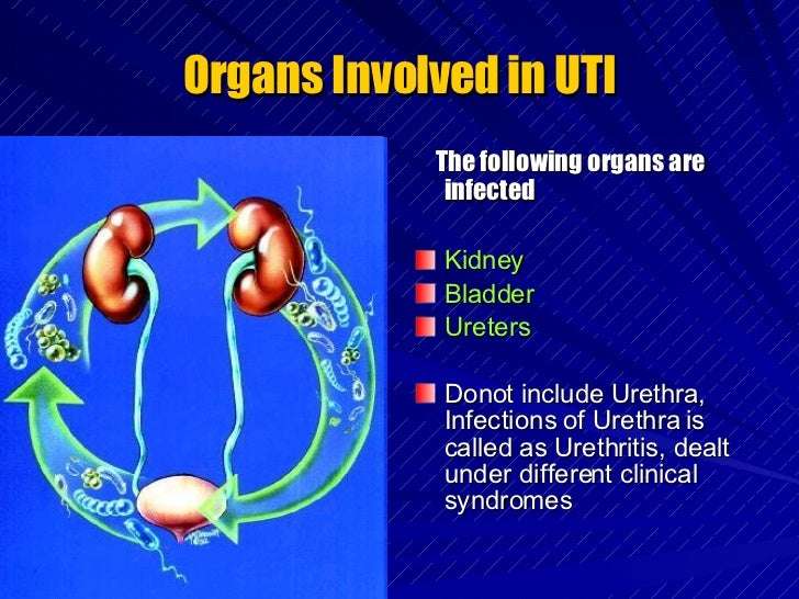 Urinary Tract Infections (UTIs) in Kids  DR. TRYNAADH