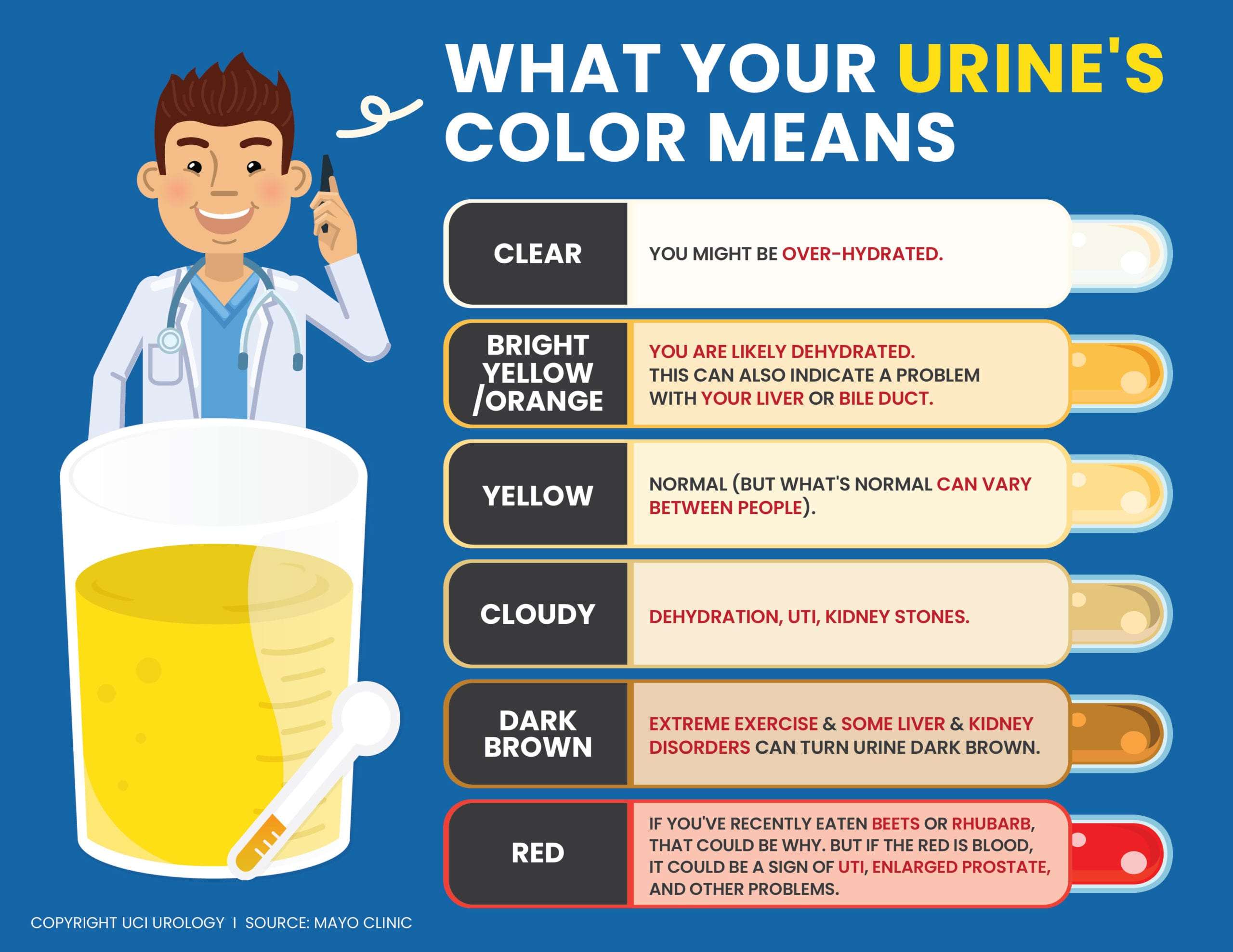 Urology Infographic: What Your Urine